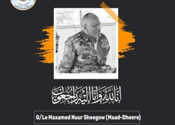 Speaker Madobe sends his condolences to SNA, household for the lack of Colonel Maad Dheere – Somali Nationwide Information Company