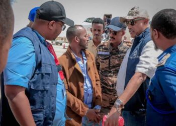 Booliska Adduunka ee Interpol oo Booliska Puntland ku wareejiyay eedaysane dil lavatory haysto oo baxsad ahaa – Puntland Put up