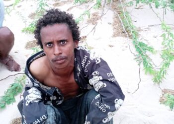 SNA captures a international Al-Shabaab agent in Galgaduud area – Somali Nationwide Information Company