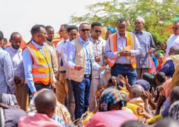 Commissioner of SoDMA arrives in Barawe to evaluate the humanitarian state of affairs – Somali Nationwide Information Company