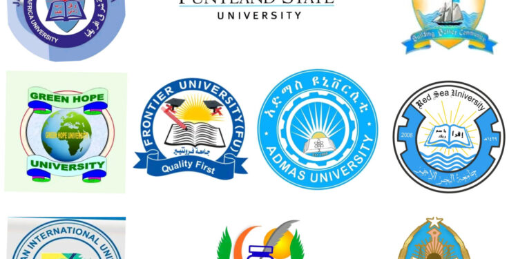 Puntland State of Somalia’s College Graduates Endure Extended Unemployment – Puntland Publish