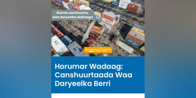Enhanced Tax Assortment Methods Drive Elevated Authorities Income in Somalia – Puntland Publish
