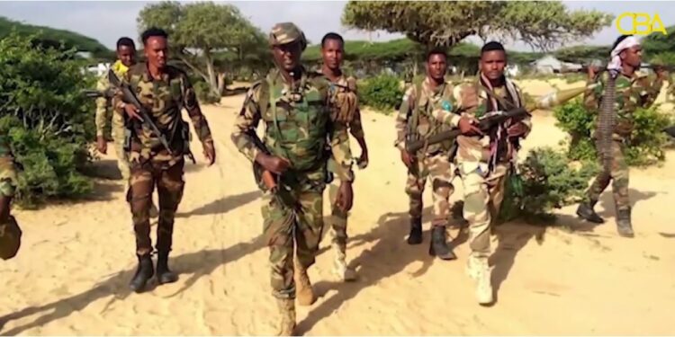 Seven al-Shabaab Terrorists Killed in Joint Operation by Nationwide Armed Forces and Native Residents – Somali Nationwide Information Company