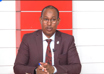Somalia to Assemble New Airport in Mogadishu to Enhance Aviation Companies – Somali Nationwide Information Company