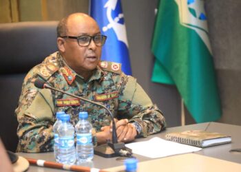 Somali Nationwide Military Steps Up Anti-Al-Shabaab Efforts: SNA Chief Requires Elevated Motion