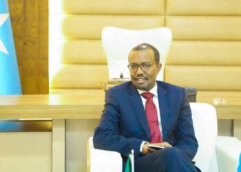 Ex-Somalia FM says govt ought to allow Al-Shabaab to confront Ethiopian aggression 