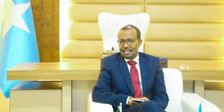 Ex-Somalia FM says govt ought to allow Al-Shabaab to confront Ethiopian aggression 