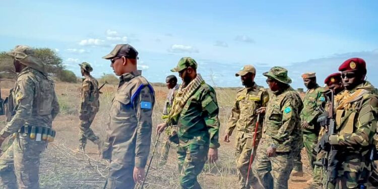 Minister of Defence visits lately liberated areas within the Decrease Jubba area – Somali Nationwide Information Company