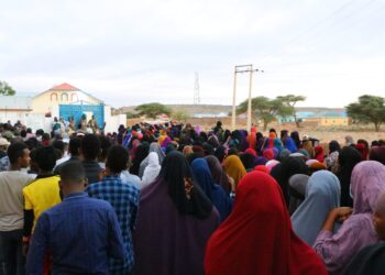 Puntland Election Fee Reveals Tight Race in Native Council Elections