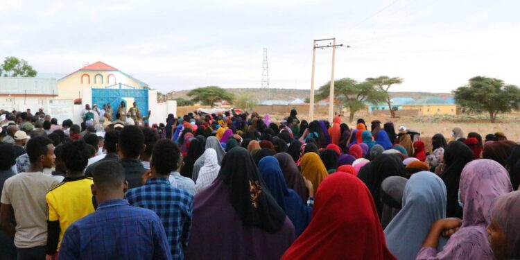 Puntland Election Fee Reveals Tight Race in Native Council Elections