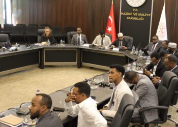 A Examine Tour in Turkey and the Promise of Public-Non-public Partnerships in Somalia – Somali Nationwide Information Company