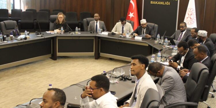 A Examine Tour in Turkey and the Promise of Public-Non-public Partnerships in Somalia – Somali Nationwide Information Company