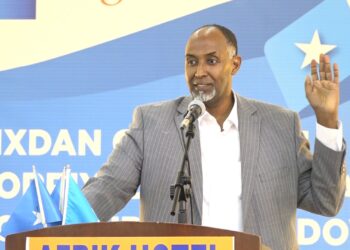 Somali Activist Warns Mogadishu May Lose Capital Standing – Puntland Publish