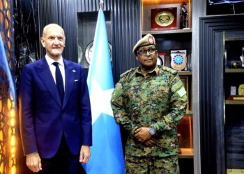 Chief of Nationwide Armed Forces Meets with British Ambassador to Talk about Safety Cooperation – Somali Nationwide Information Company