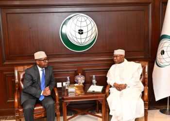 Somali FM Discusses Collaborative Approaches with OIC Secretary-Common – Somali Nationwide Information Company