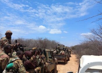 Somali Nationwide Military Conducts Deliberate Operations in Bakool Area to Counter Khawaarij – Somali Nationwide Information Company