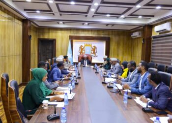 Somalia’s Parliament Units the Stage for EAC Illustration