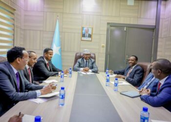 Somalia’s Diplomatic Surge: New Ambassadors and Consuls Basic Set to Elevate Worldwide Relations