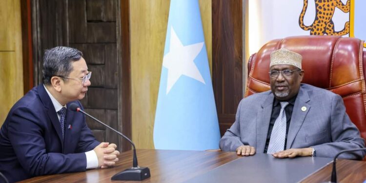 Somali Parliament Speaker Meets New Chinese language Ambassador