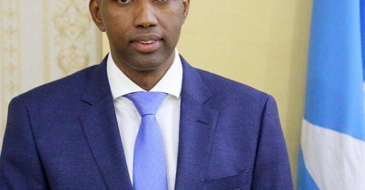 Ex-Somali PM Calls for Apology from President for Remarks on Unemployed Youth Alarm