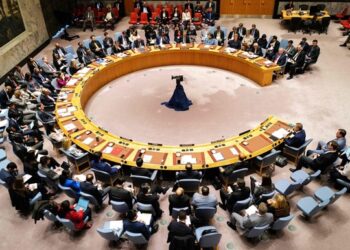 Somalia urges international locations to adjust to arms embargo on Al-Shabaab – Somali Nationwide Information Company