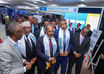 Somali President Evaluations Dan Qaran Authorities’s Two-12 months Achievements – Somali Nationwide Information Company