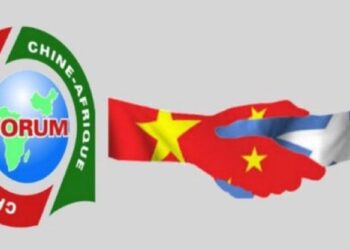 Leveraging Cooperation With China for Somalia’s Halal Business Potential – Somali Nationwide Information Company