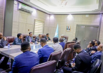 FM Ahmed Fiqi Provides Key Recommendation to 12 New Ambassadors and Two Consuls Normal – Somali Nationwide Information Company