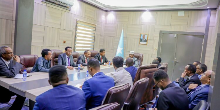 FM Ahmed Fiqi Provides Key Recommendation to 12 New Ambassadors and Two Consuls Normal – Somali Nationwide Information Company