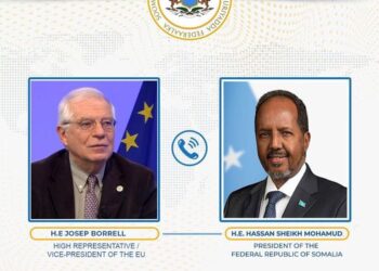 Somalia and EU Reaffirm Dedication to Safety and Stability in Excessive-Degree Talks