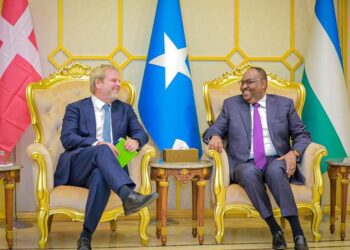 Puntland iyo Denmark oo ka wada-hadlay dimuqraadiyadda iyo mashaariicda horumarinta – Puntland Submit