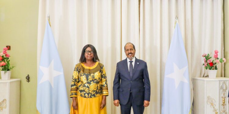 President Hassan receives credentials from six new Ambassadors to Somalia – Somali Nationwide Information Company