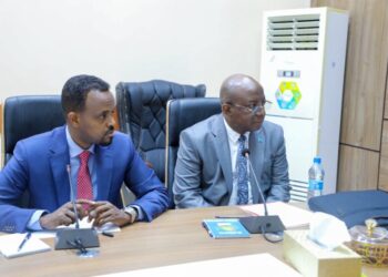 Somali Ministry of Data Presents Report back to Higher Home Committee – Somali Nationwide Information Company