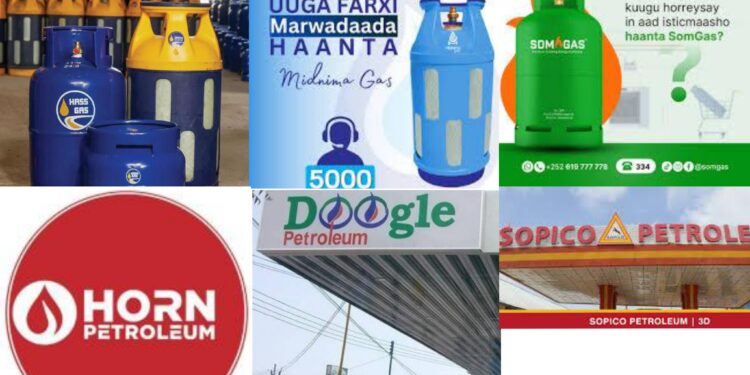 LPG provider market competitors “advantages” customers in Mogadishu – Puntland Submit