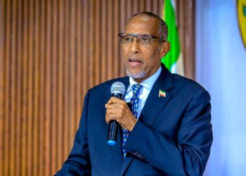Somaliland president guarantees to deal with Lasanod battle after upcoming election 