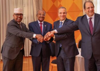 What’s the true that means of Egypt’s assertion on imposing Somalia’s will over its sovereign territory? – evaluation 