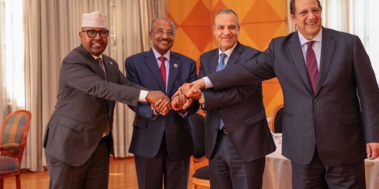 What’s the true that means of Egypt’s assertion on imposing Somalia’s will over its sovereign territory? – evaluation 