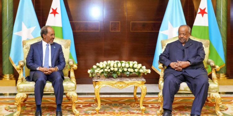Somalia’s president holds talks with Djibouti’s chief 