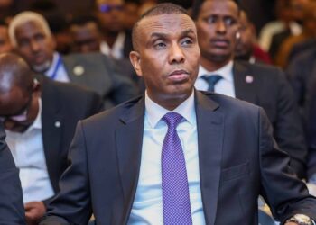 Somalia’s PM takes motion to thwart no-confidence vote in parliament 
