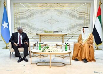 Somali and UAE Parliamentary Leaders Meet to Strengthen Bilateral Ties – Somali Nationwide Information Company
