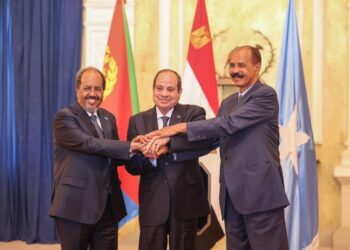 Official Assertion on the Trilateral Summit between Somalia, Eritrea, and Egypt – Somali Nationwide Information Company