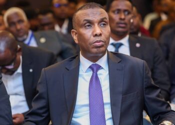 Somalia’s PM narrowly escapes ouster in parliament movement 