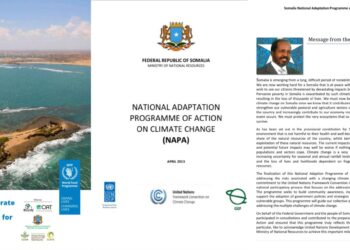 WFP Report Raises Questions on Somalia’s Sovereignty Stance – Puntland Publish