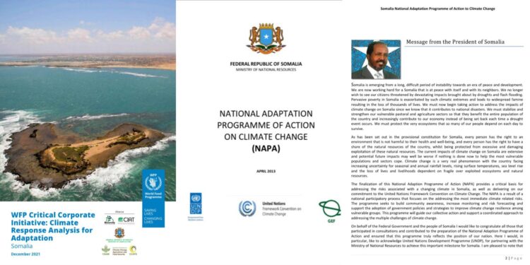 WFP Report Raises Questions on Somalia’s Sovereignty Stance – Puntland Publish