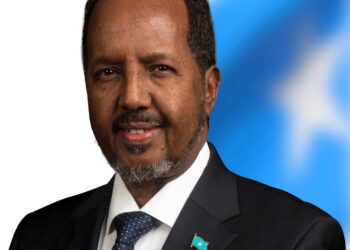 President Hassan Sheikh Embarks on Working Go to to Eritrea – Somali Nationwide Information Company