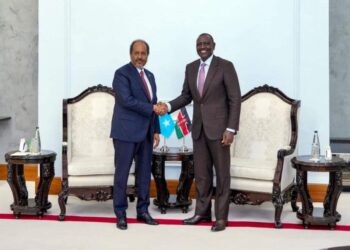 Somalia and Kenya Bolster Ties for Regional Safety and Financial Progress