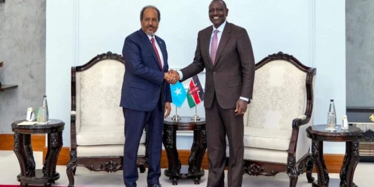 Somalia and Kenya Bolster Ties for Regional Safety and Financial Progress
