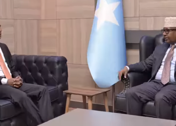 Minister of Overseas Affairs welcomes the Chargé d’Affaires of Sudan – Somali Nationwide Information Company