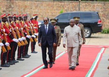 President Hassan Sheikh arrives in Bujumbura on an official go to – Somali Nationwide Information Company