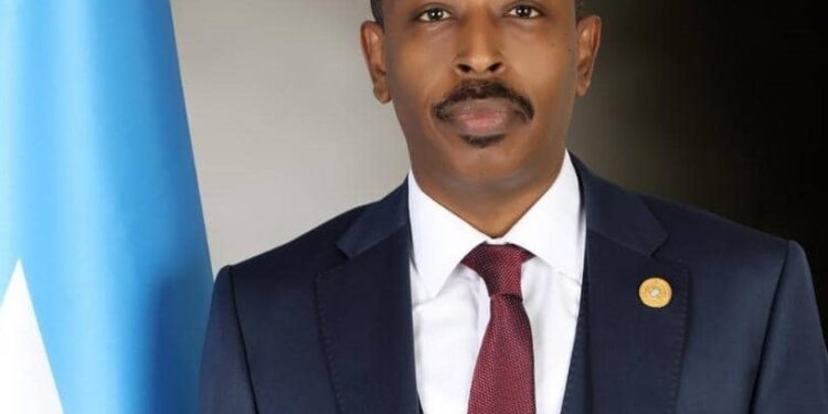 A Name to the Worldwide Group – Somali Nationwide Information Company
